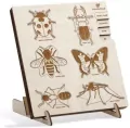 Puzzle drewniane - Do biedronki przyszedł żuk - tantis.pl