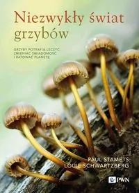 Niezwykły świat grzybów - tantis.pl