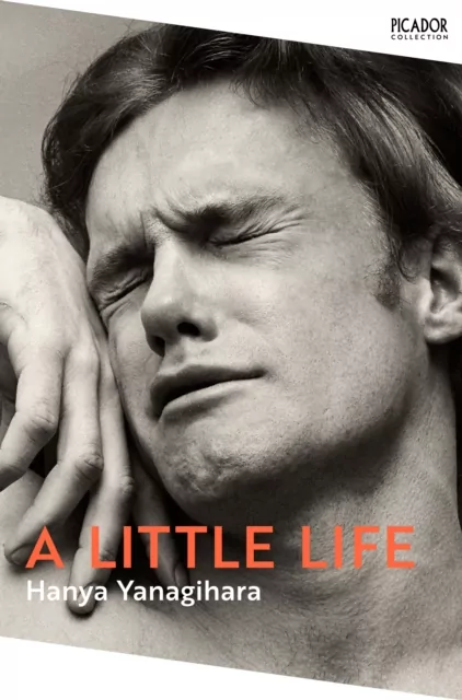 A Little Life - tantis.pl
