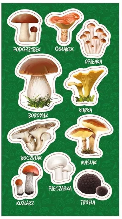 Ranok Creative. Naklejki Grzyby jadalne, 10 sztuk - tantis.pl