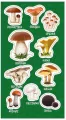 Ranok Creative. Naklejki Grzyby jadalne, 10 sztuk - tantis.pl