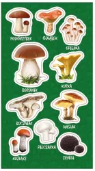 Ranok Creative. Naklejki Grzyby jadalne, 10 sztuk