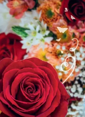 Karnet B6. Uniwersalny