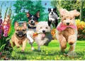 Puzzle 1000. Nadchodzą kłopoty. 10800 - tantis.pl