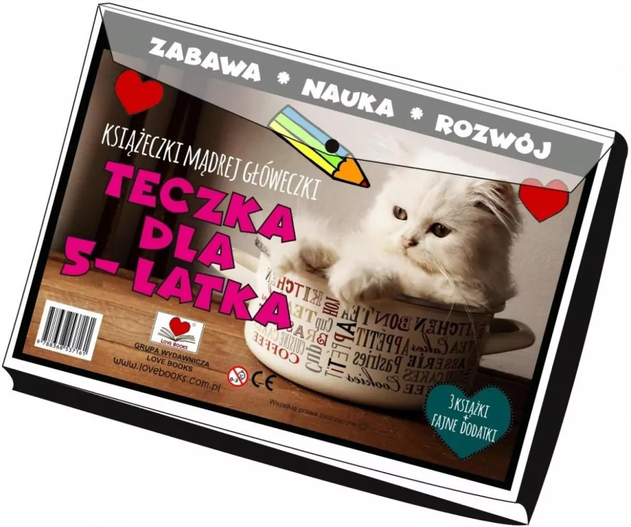 Teczka dla 5 latka. Książeczki mądrej główeczki - tantis.pl