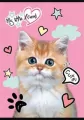 Zeszyt A5 16k kratka MY LITTLE FRIEND mix 1szt. - tantis.pl