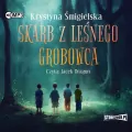 Skarb z leśnego grobowca. Audiobook - tantis.pl
