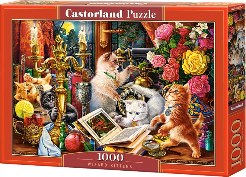 Castor. Puzzle 1000. Wizard Kittens 104857 - tantis.pl