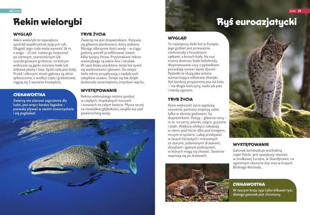 Encyklopedia zwierząt dla dzieci - tantis.pl