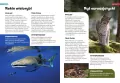 Encyklopedia zwierząt dla dzieci - tantis.pl