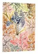 Notatnik linia Anemone midi - tantis.pl