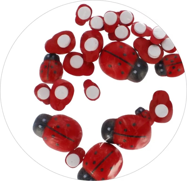 Biedronki drewniane 24szt - tantis.pl