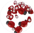 Biedronki drewniane 24szt - tantis.pl