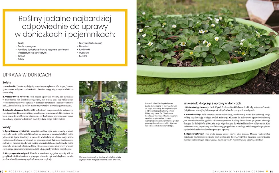 Początkujący ogrodnik. Uprawa warzyw - tantis.pl