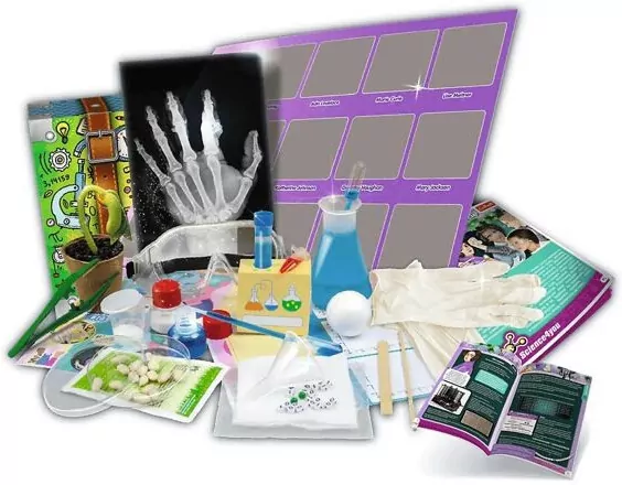 Trefl. Science 4 You. Kobiety w Świecie Nauki - tantis.pl