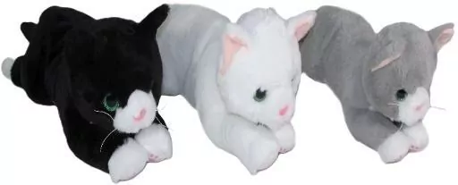 Kot 40cm MIX - tantis.pl