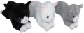 Kot 40cm MIX - tantis.pl
