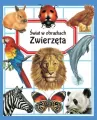 Zwierzęta. Świat w obrazkach - tantis.pl