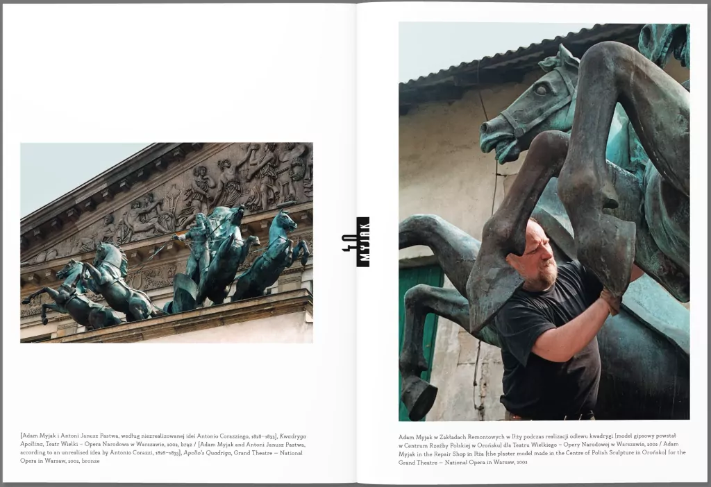 Myjak. Rzeźba - tantis.pl