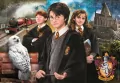 Puzzle 1000 Compact Harry Potter - tantis.pl