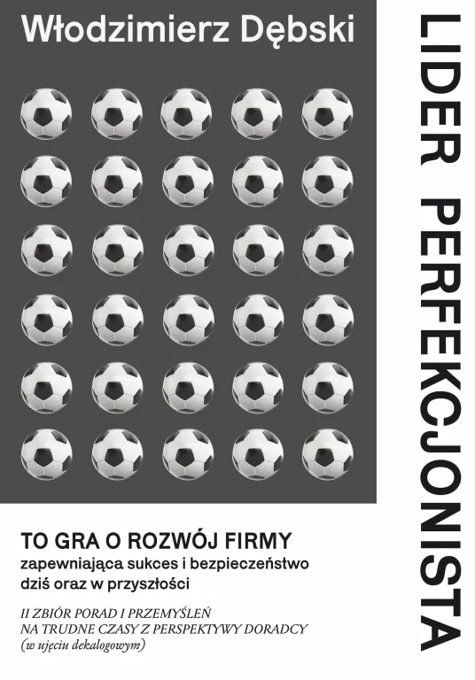 Lider perfekcjonista - tantis.pl
