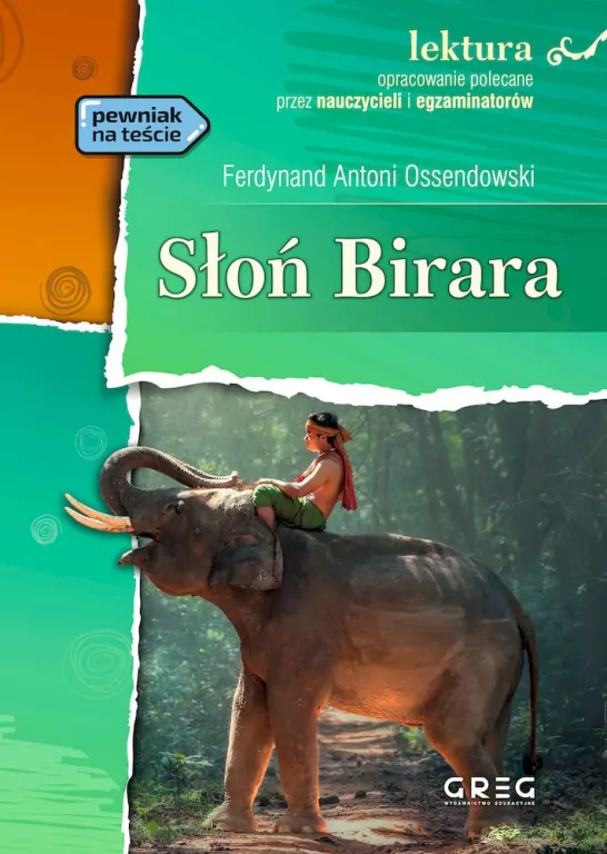 Słoń Birara. Lektura z opracowaniem - tantis.pl