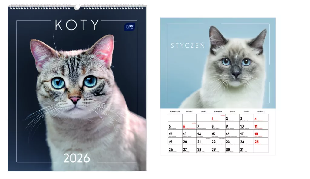 Kalendarz 2026 ścienny planszowy 33,5x40cm Koty - tantis.pl