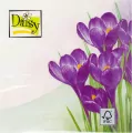 Serwetki 33x33 cm Daisy Wiosenne op. 20 szt - tantis.pl