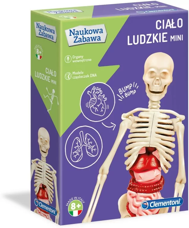 Ciało ludzkie mini. Naukowa zabawa - tantis.pl