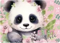 Podkładka laminowana Panda 10 DERFORM - tantis.pl