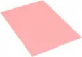 Filc dekoracyjny różowy 20x30cm - tantis.pl