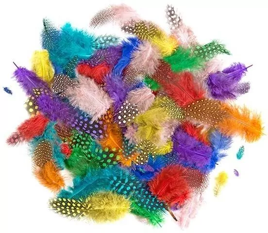 Piórka bażanta 4-7cm 10g brights - tantis.pl