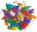 Piórka bażanta 4-7cm 10g brights - tantis.pl