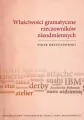 Właściwości gramatyczne rzeczowników nieodmiennych - tantis.pl