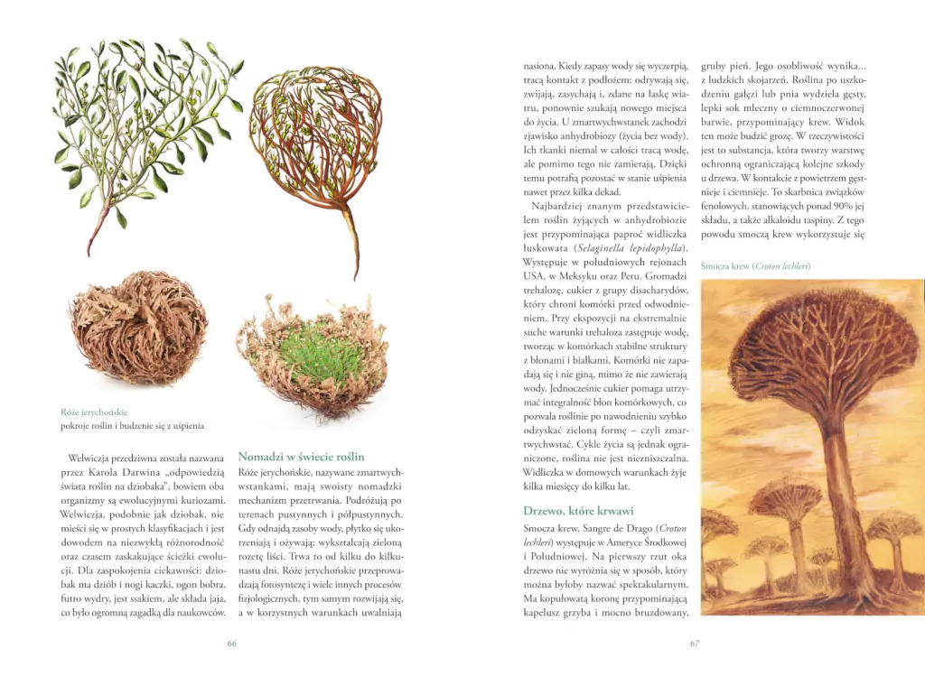 Tajemnicze życie roślin. Fascynujące sekrety i mechanizmy natury - tantis.pl