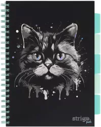 Kołozeszyt Pads A4/100K kratka Kot