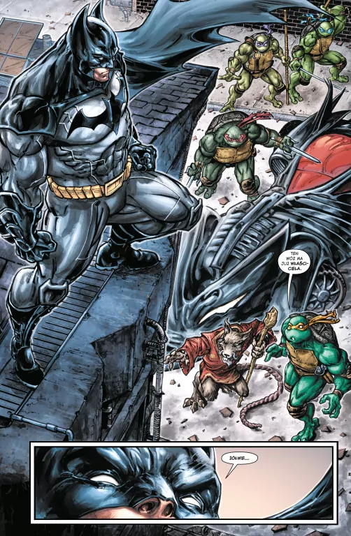 Batman / Wojownicze Żółwie Ninja - tantis.pl