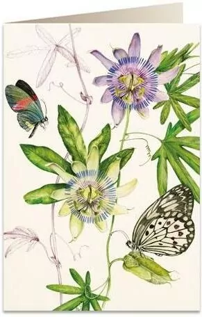 Karnet B6 + koperta: Passiflora - tantis.pl