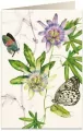Karnet B6 + koperta: Passiflora - tantis.pl