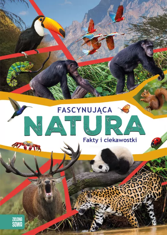 Fascynująca natura - tantis.pl