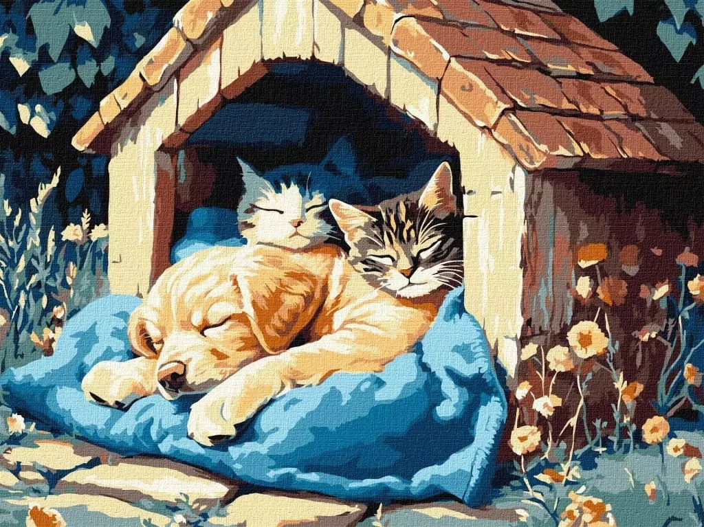 Malowanie po numerach - Cisza czasu 30x40cm - tantis.pl