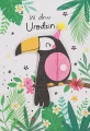 Karnet Urodziny - tantis.pl