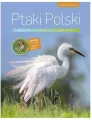 Ptaki Polski. Encyklopedia ilustrowana - tantis.pl