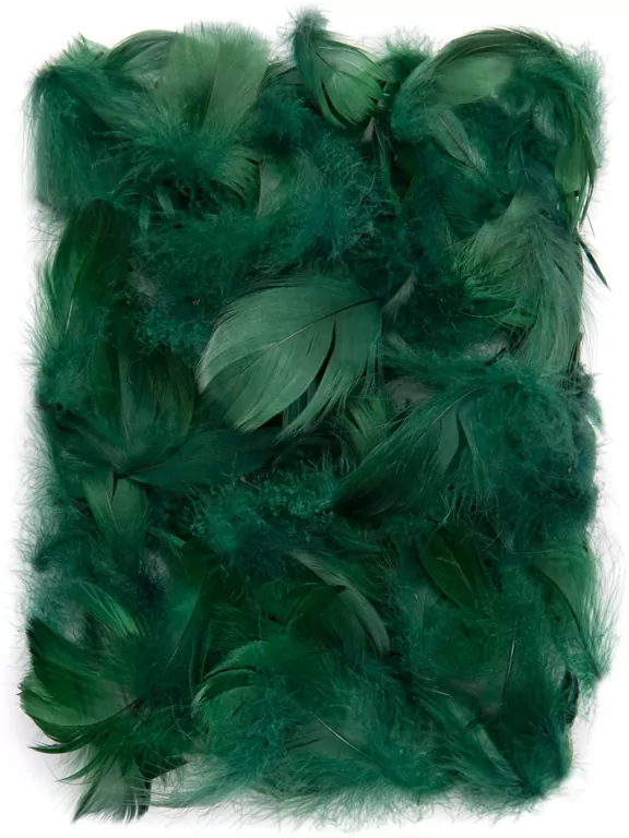 Piórka. Ciemnozielone 5-12cm - tantis.pl