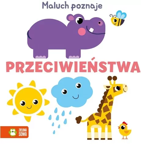 Angielskie słówka. Maluch poznaje - tantis.pl