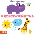 Angielskie słówka. Maluch poznaje - tantis.pl
