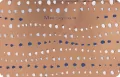 KARNET OKAZ B6 Z KOP PD HM200-3515 - tantis.pl