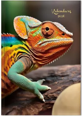 Kalendarz 2026 tygodniowy A5 Kameleon SK1