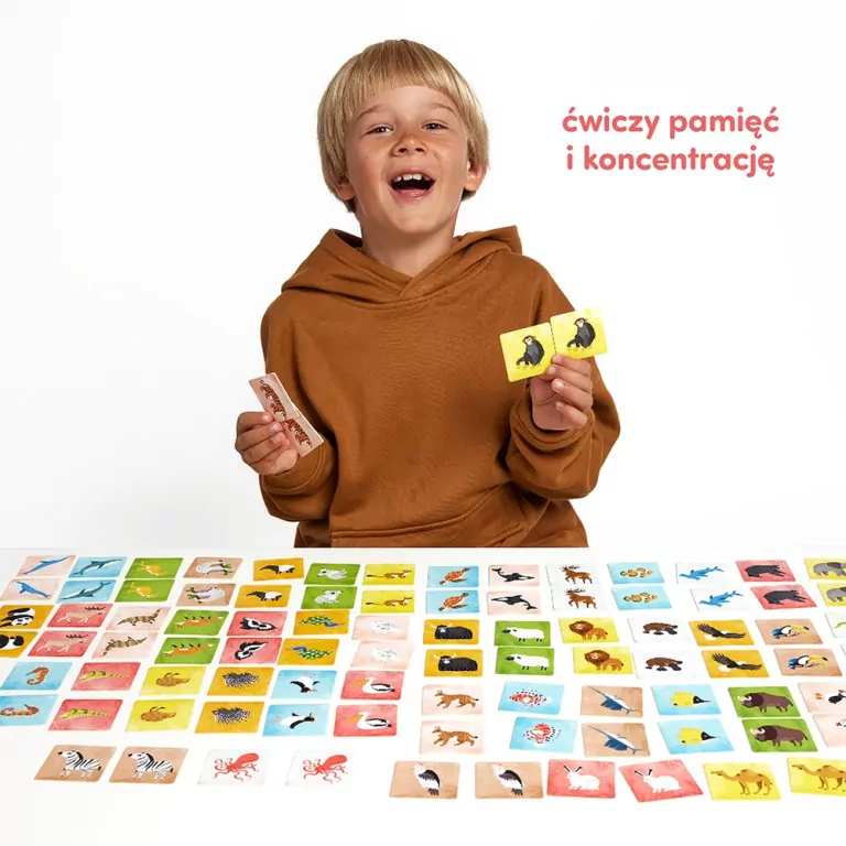 CzuCzu. Zwierzęta świata. Memory - tantis.pl