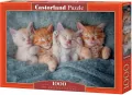 Puzzle 1000. The Sweetest Kittens - tantis.pl